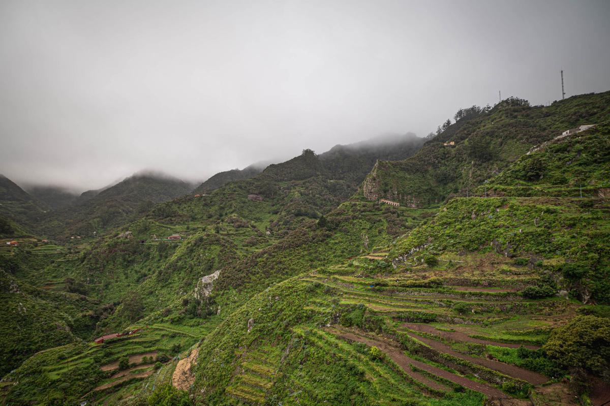 La Tenerife Vaciada: El Batán en La Laguna