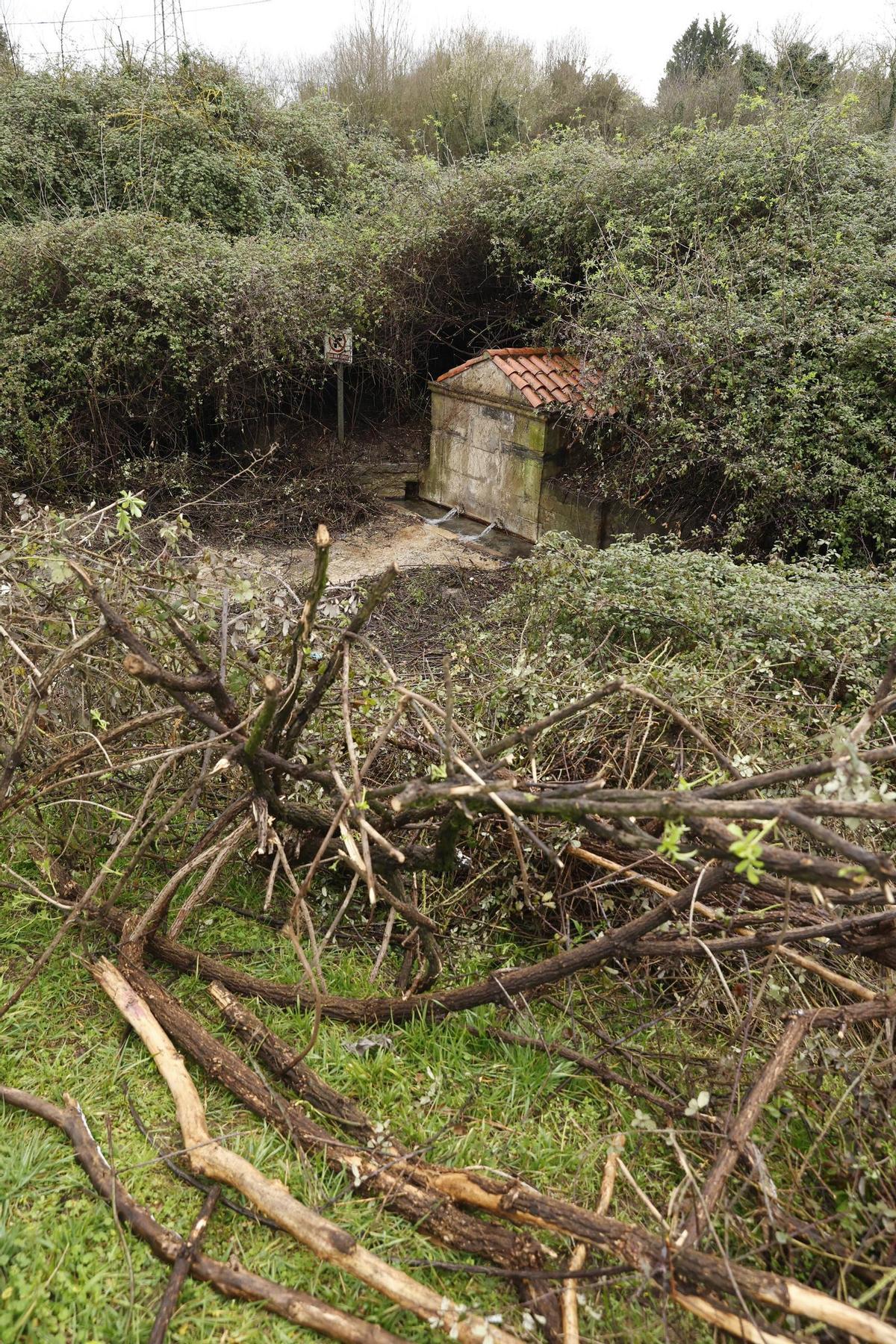 La histórica fuente de Contrueces, en Gijón, de nuevo a la vista gracias al trabajo e iniciativa de los vecinos (en imágenes)