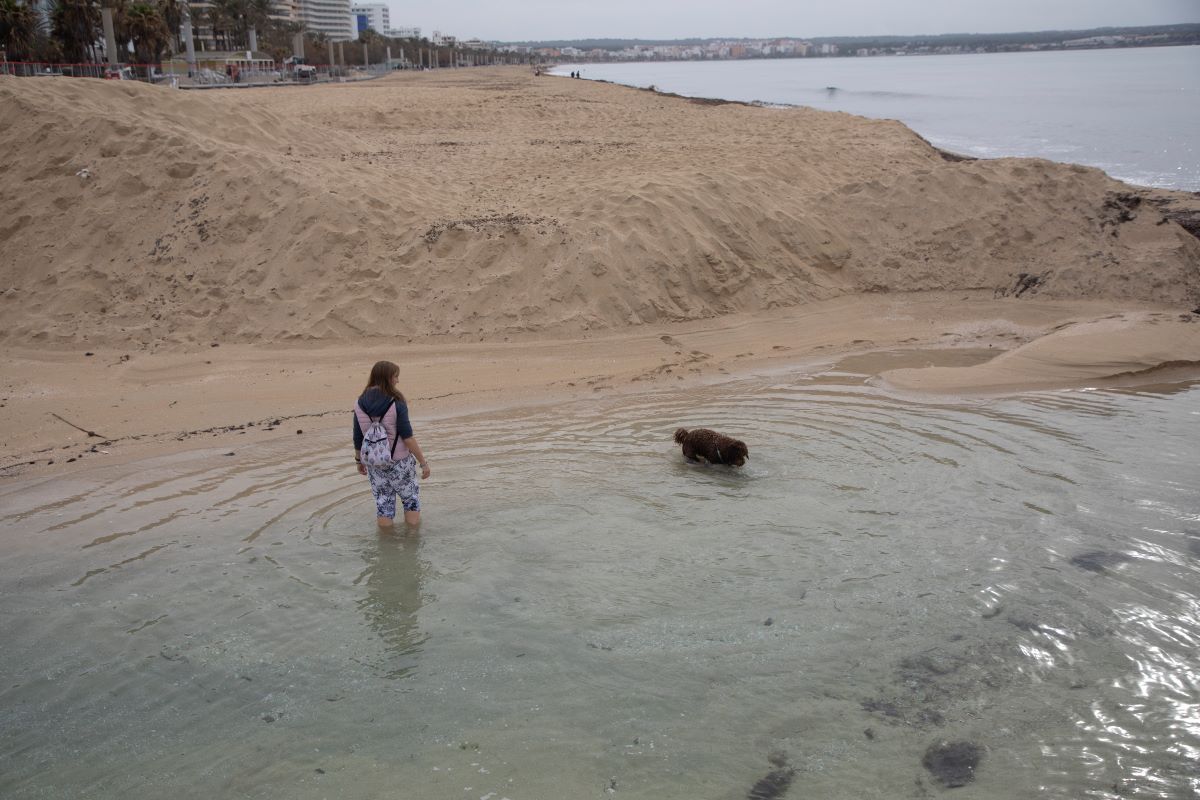 So sieht es Anfang Januar auf Mallorca aus