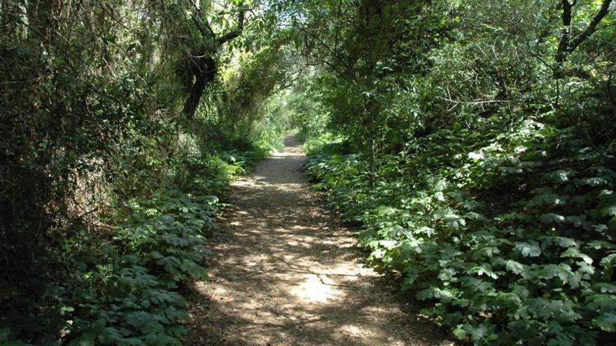 Córdoba dispone de 8 millones de euros para el arreglo de caminos rurales