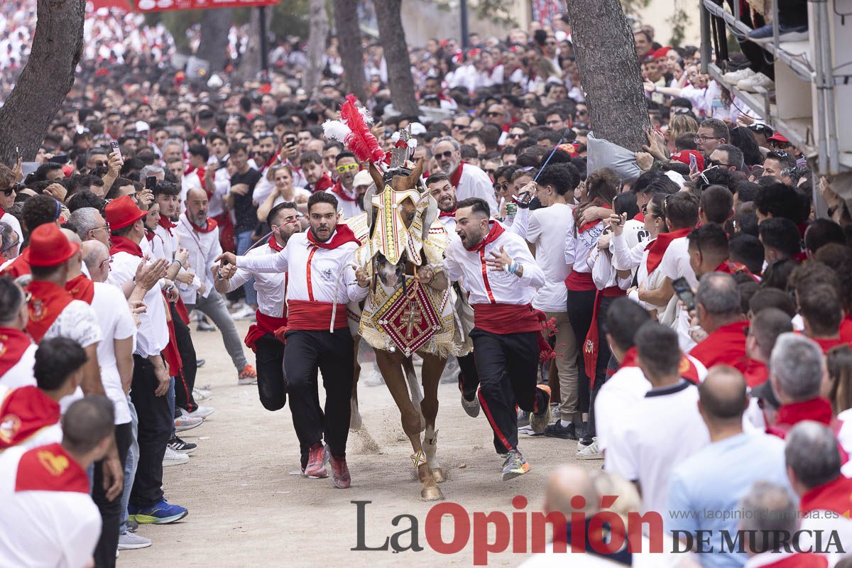 Así se ha vivido la carrera de Los Caballos del Vino en Caravaca