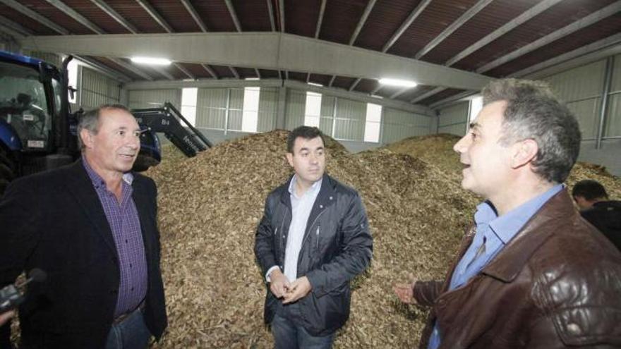 Antonio Rodríguez, Román Rodríguez y José Ramón Presas posan ante los restos de madera triturados para biomasa.  // Bernabé/Gutier