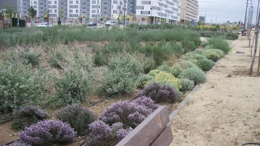 Ejemplo de xerojardinería en Valdespartera (Zaragoza) un tipo de jardín con bajo consumo de agua adecuado para climas secos. UPM
