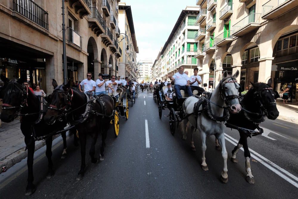 Miles de personas se manifiestan en Palma en defensa del mundo rural y ...