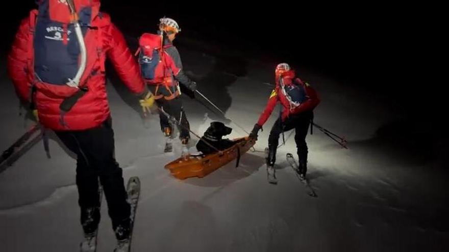 Así fue el rescate de "Oreo", un perro herido en la nieve en Somiedo