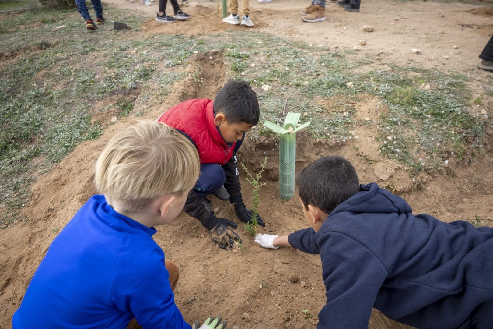 Jornada escolar plantación de especies autóctonas junto al parque natural de las lagunas de Torrevieja y La Mata