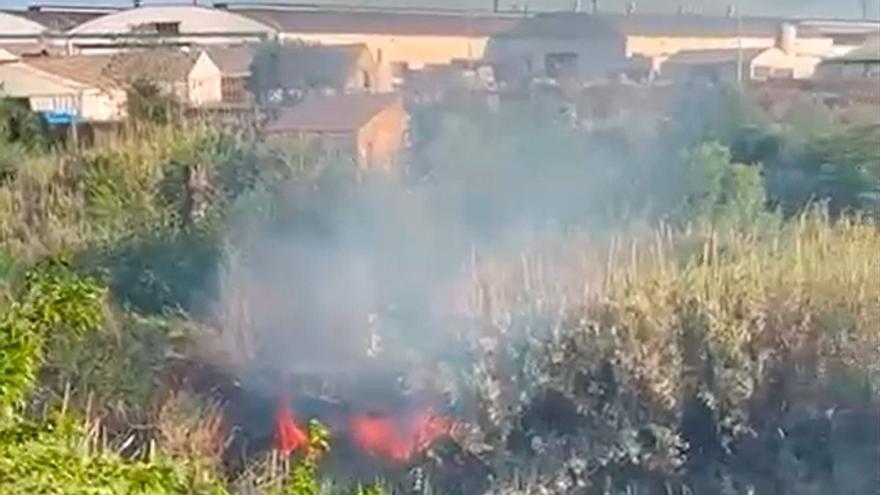 Incendio en un cañar del cauce del Riu Millars en Vila-real