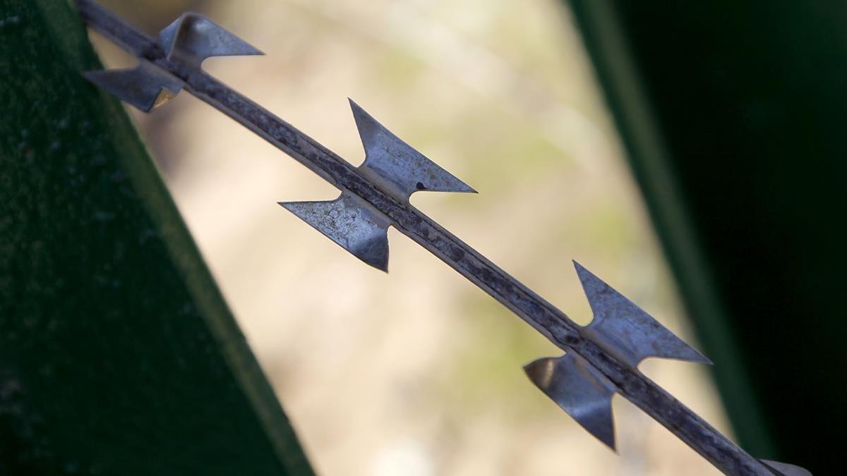 Concertina en la valla de Melilla.