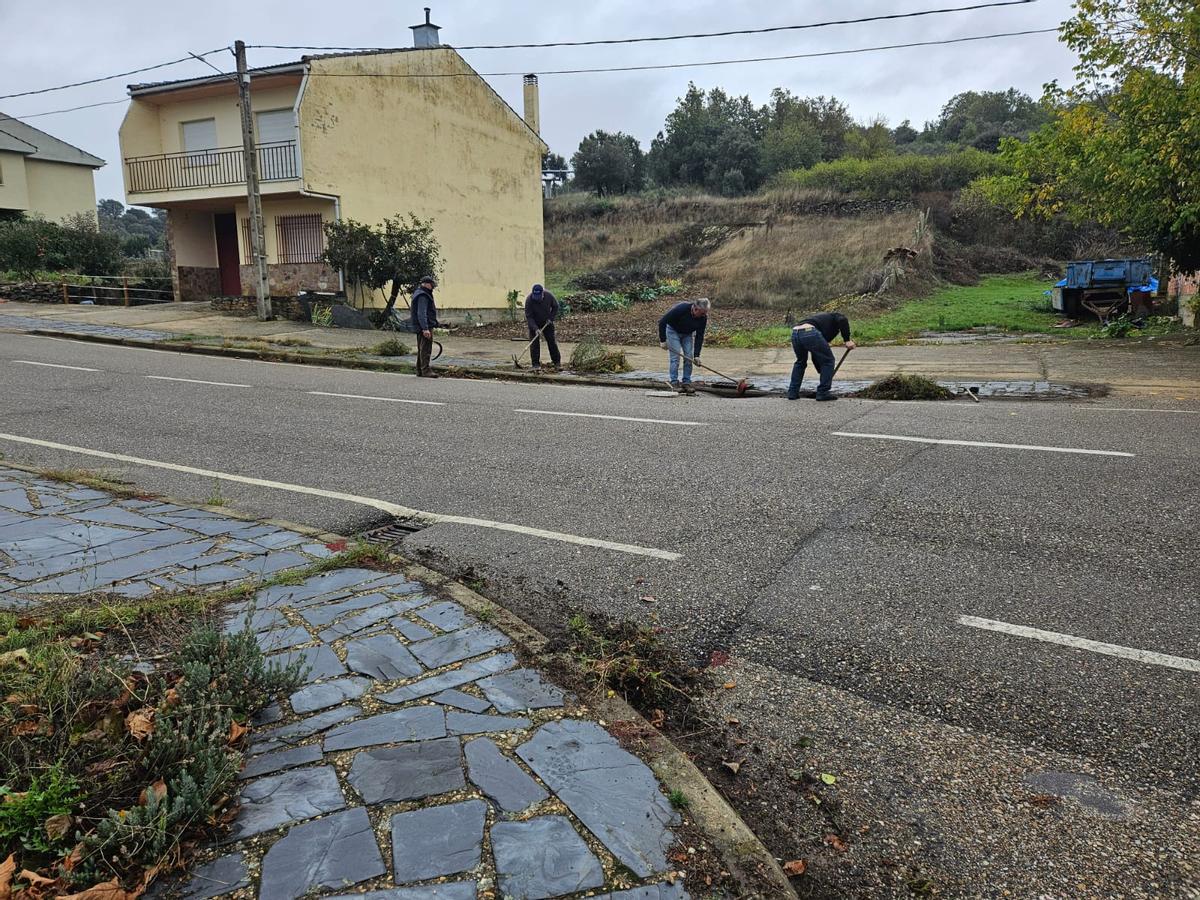Los vecinos de Bercianos trabajan en el Concejo del Común y disfrutan de la convidada con motivo de la fiesta de San Cosme y San Damián.