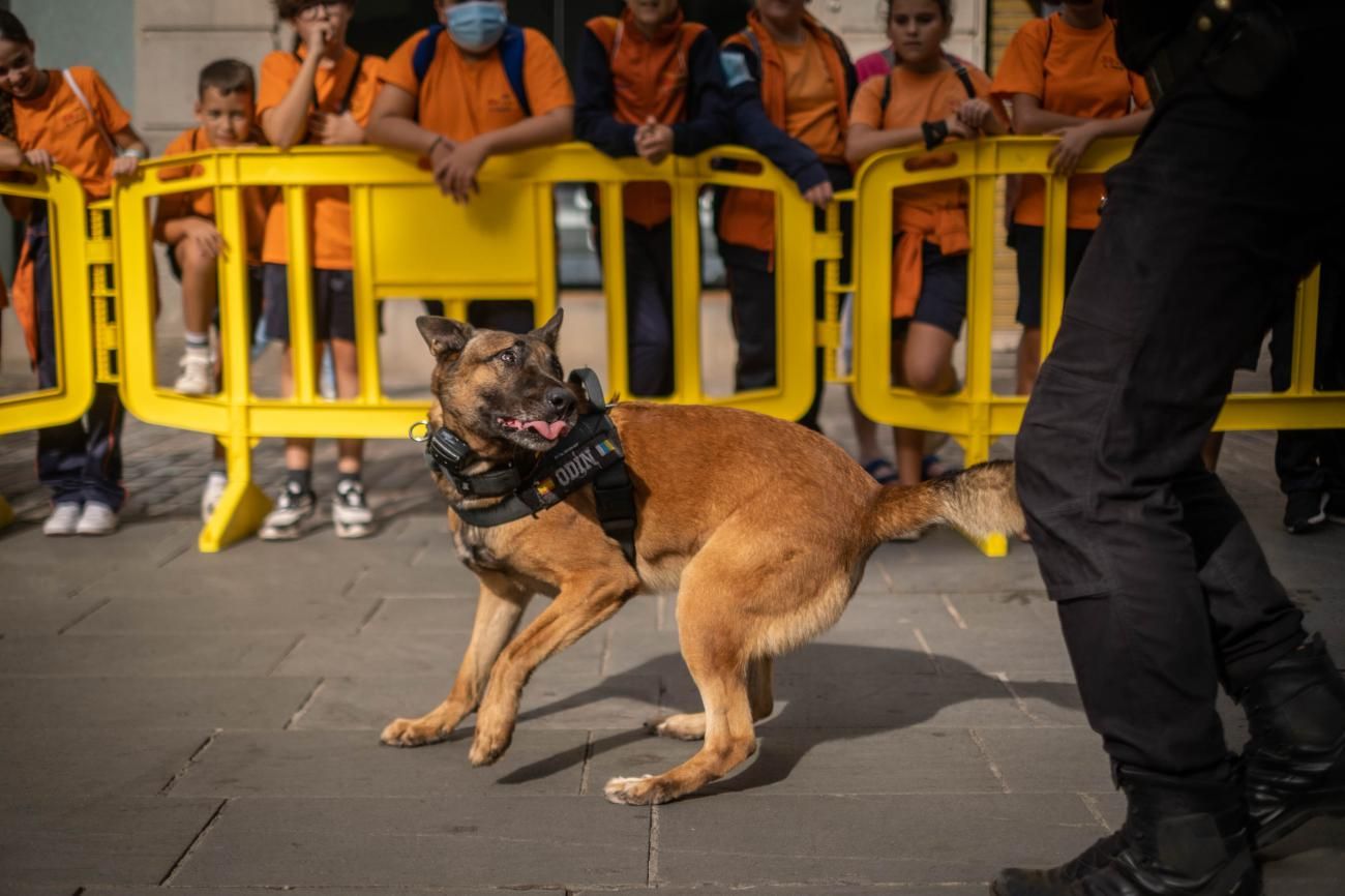 Apertura jornadas 25 aniversario Unidad Canina de la Policía Local