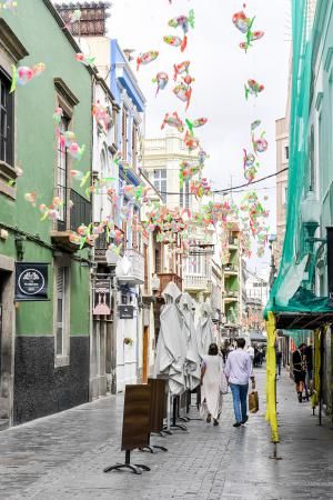 Peces en la calle Cano