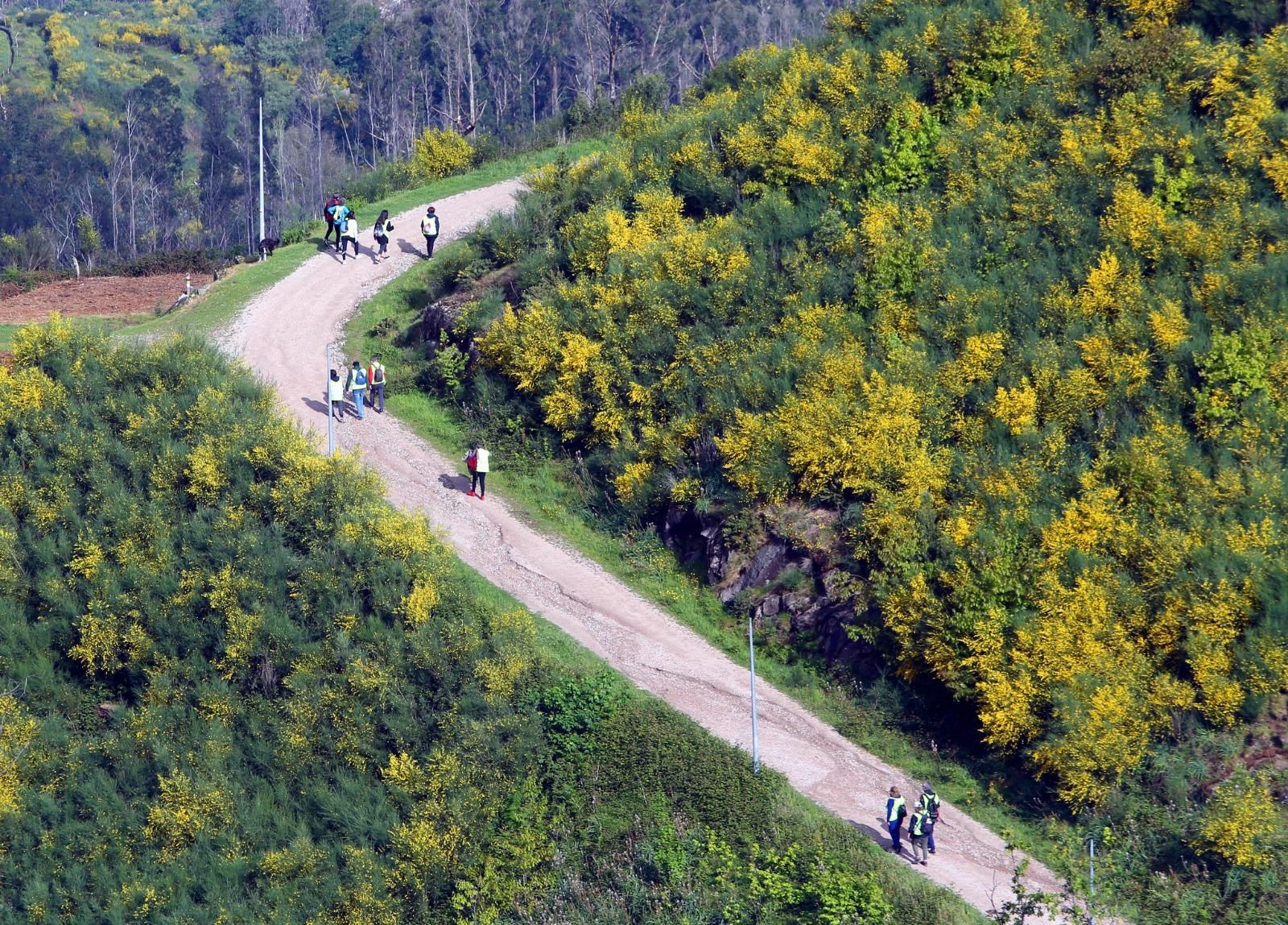 Un Vigo para caminar y perderse: 11 rutas imprescindibles de todos los niveles