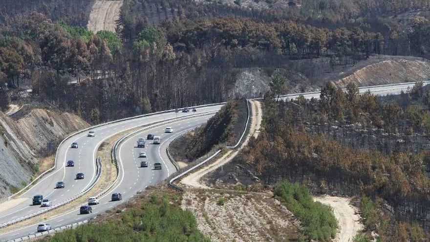 Monte arrasado en un incendio próximo a la autovía A-52. // Iñaki Osorio