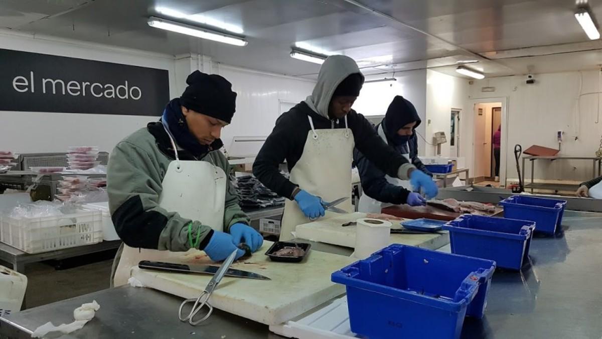 contratacion pescaderos mercabarna