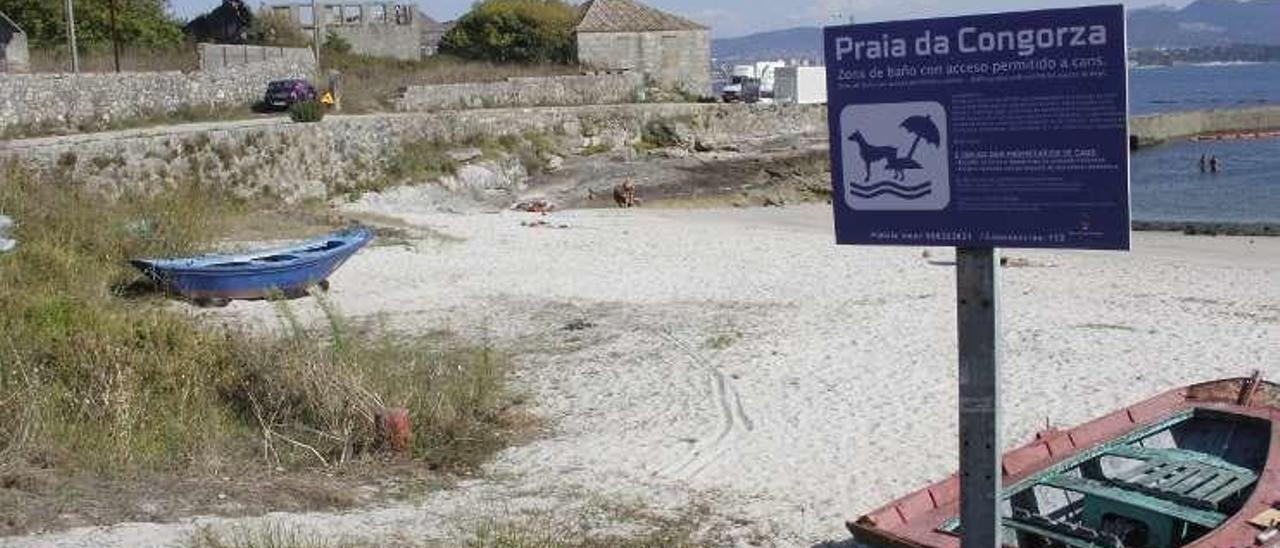 En la Congorza ya luce el cartel de playa canina. // S.A.