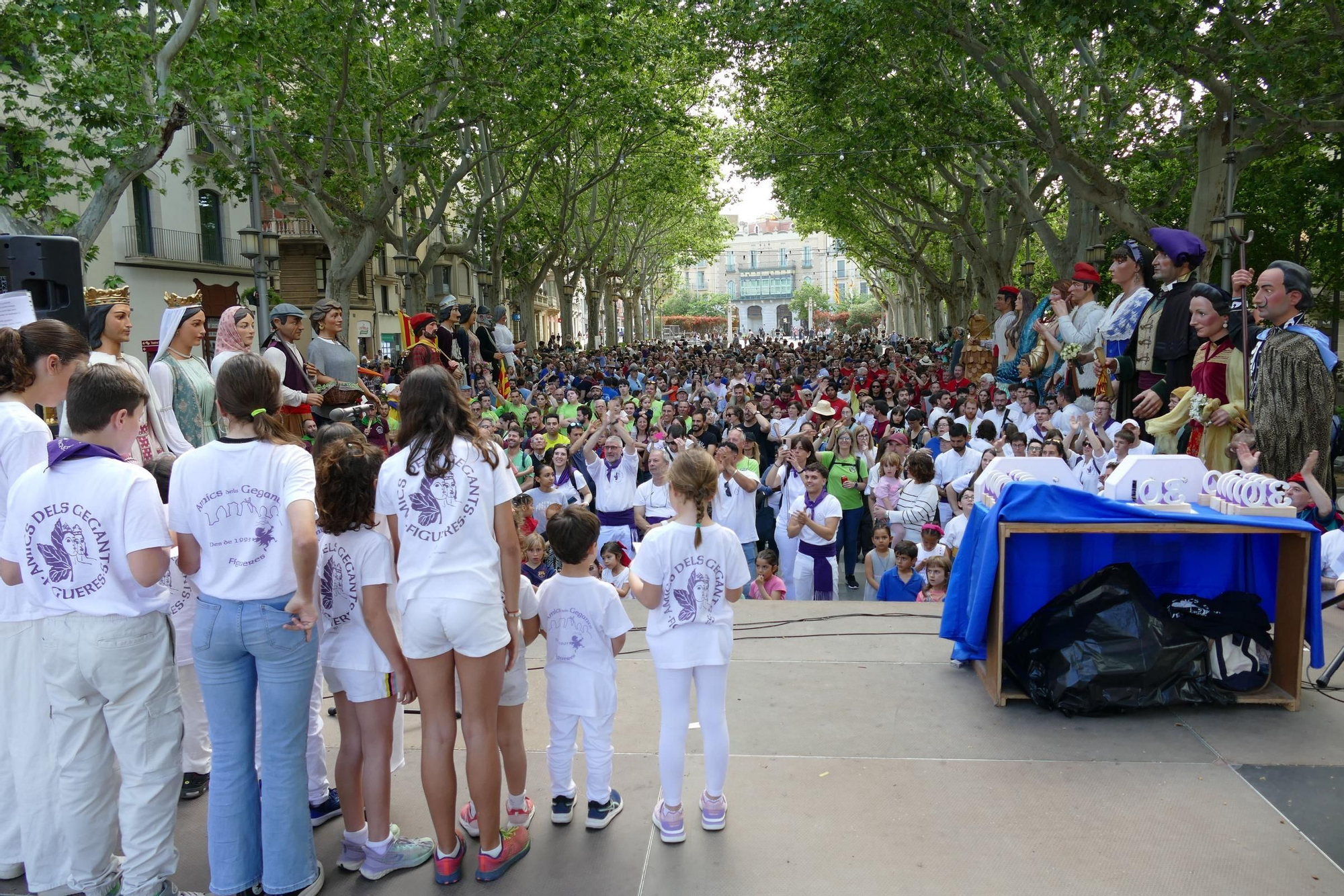 La trobada gegantera de la Diada de Santa Creu celebra els 30 anys dels Amics dels Gegants de Figueres