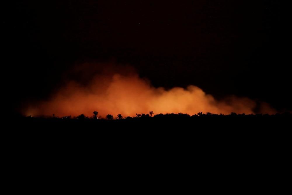 Rècord d'incendis a l'Amazones