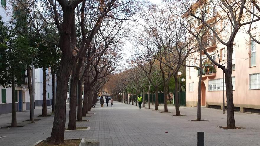 El mercadillo estará bajo los árboles de la plaza de Orson Welles.