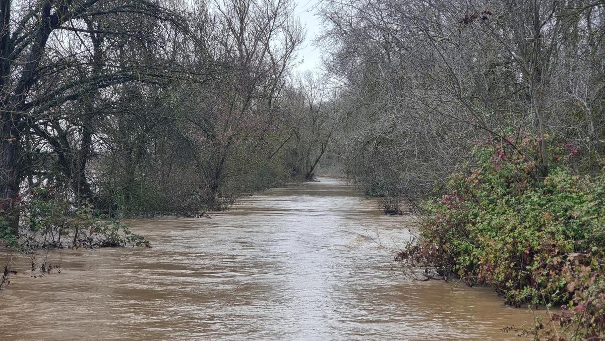 GALERÍA | La crecida del río Duero anega algunas zonas de Toro