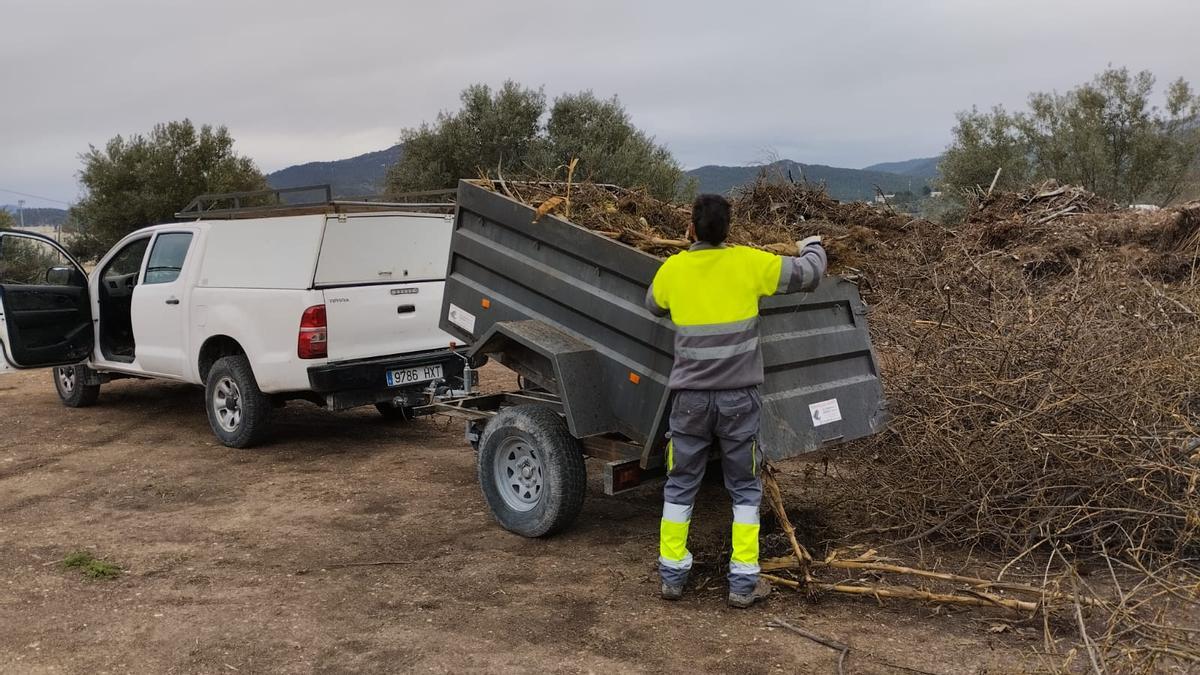 Retirada de vegetación en el huerto de Batoi