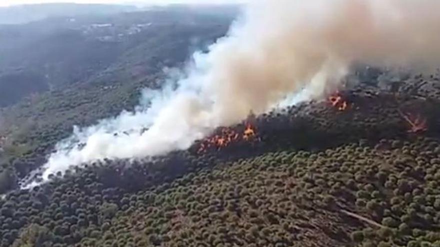 Declarado un incendio en la finca La Sierrezuela, de Villafranca de Córdoba