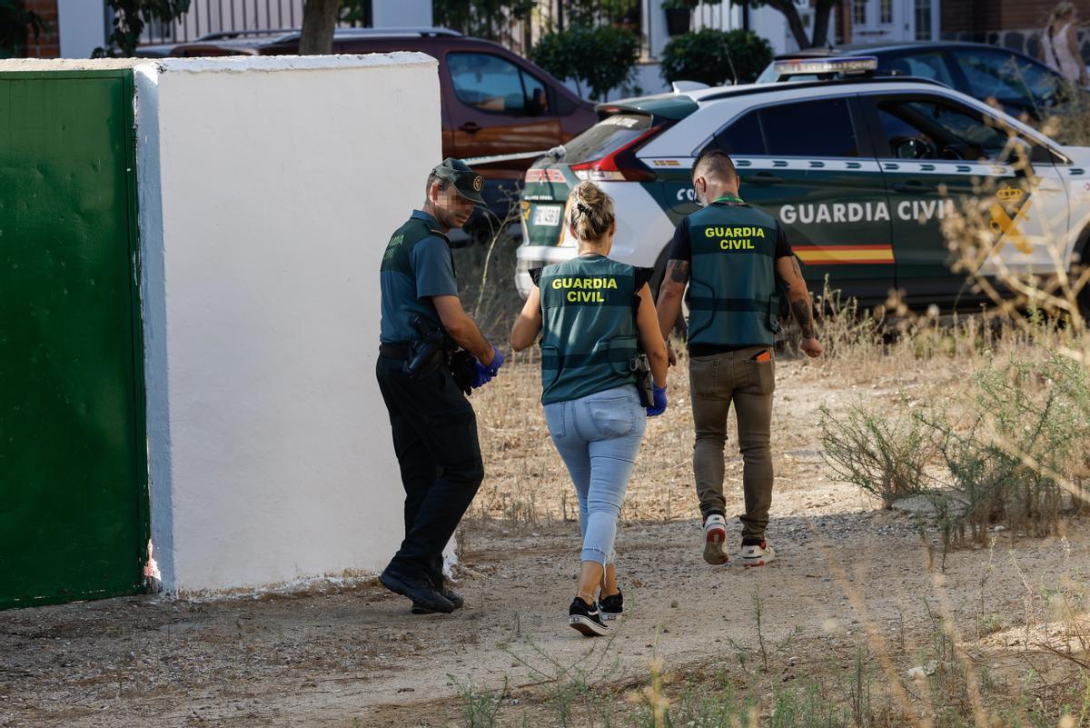 Un gos confirma la troballa de l’arma homicida de Toledo