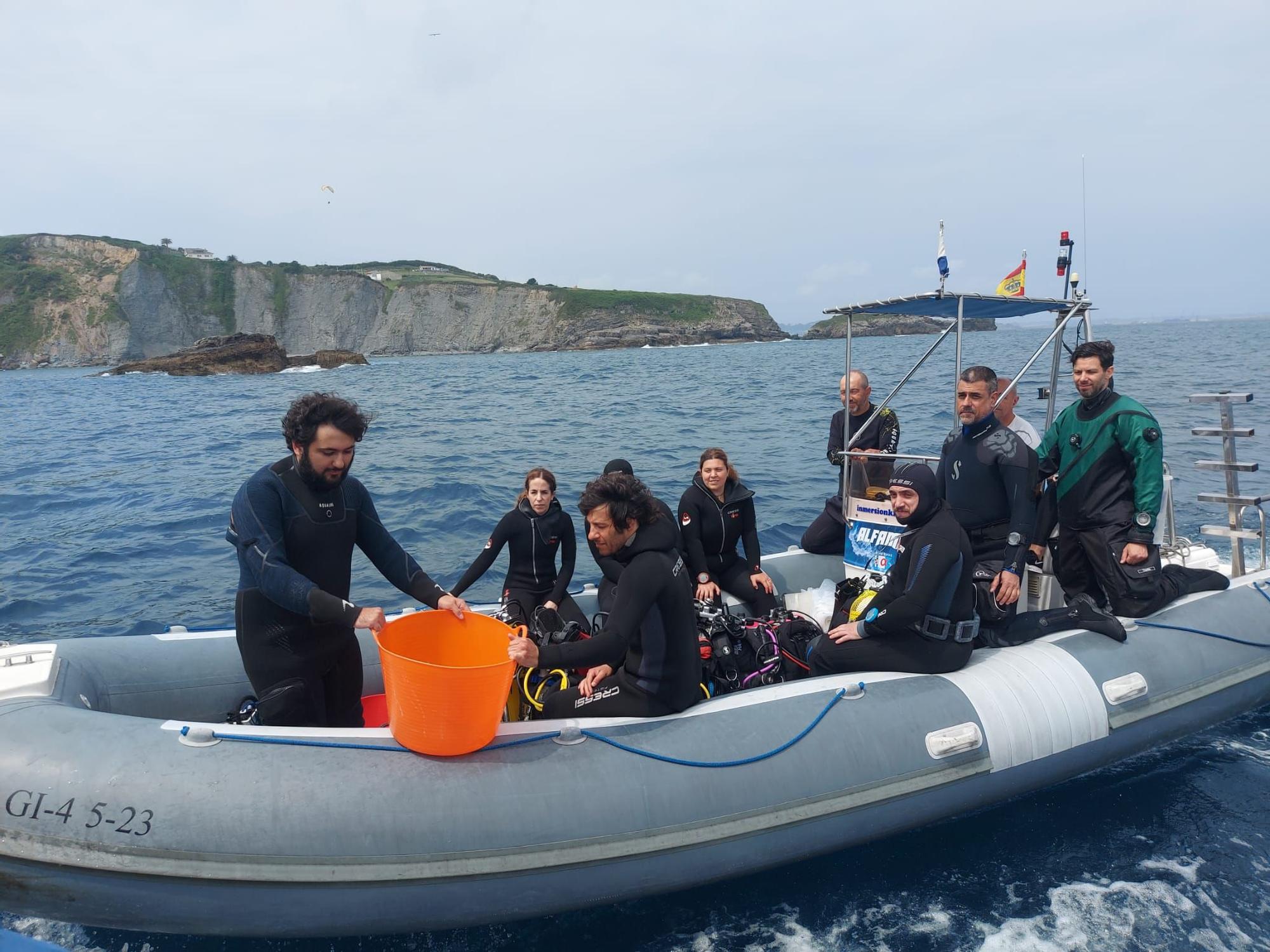 Así fue la suelta de tiburones en Gijón por el Día de los Océanos (en imágenes)