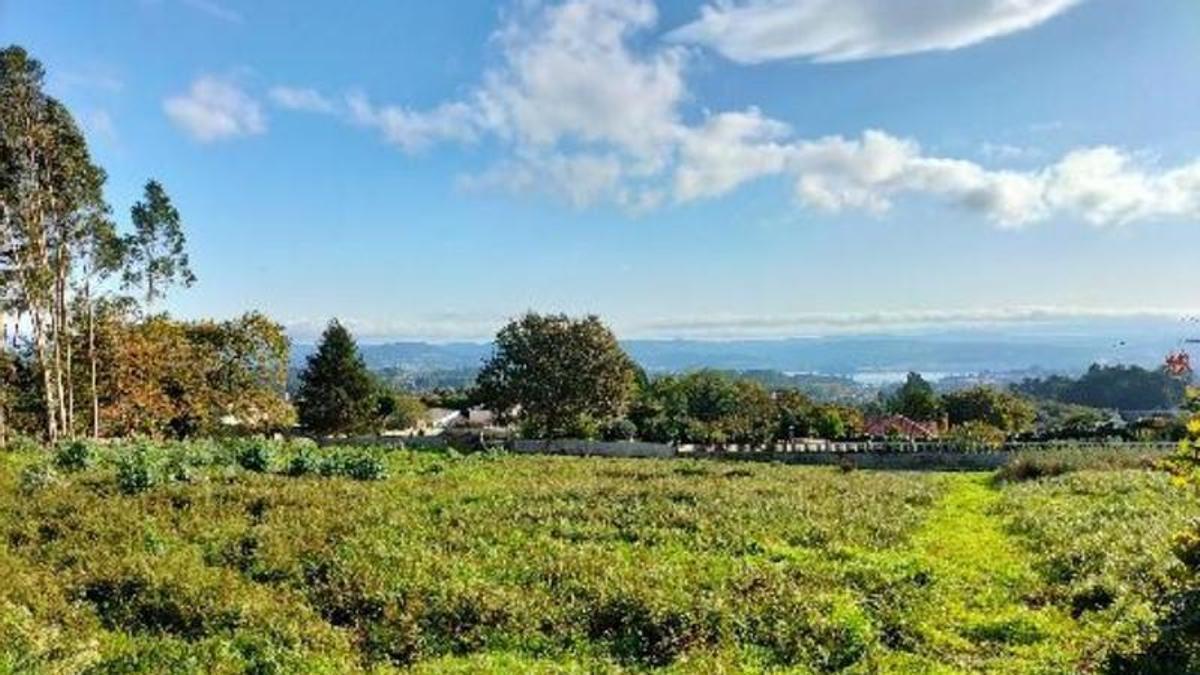 Parcela de O Vilar en la que se emplazará una de las instalaciones de almacenamiento de O Vilar.