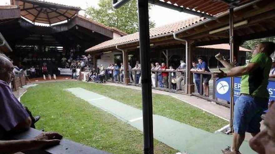 Actividad, ayer, en la bolera del Muséu del Pueblu d&#039;Asturies una vez retirado el nido de avispa asiática.