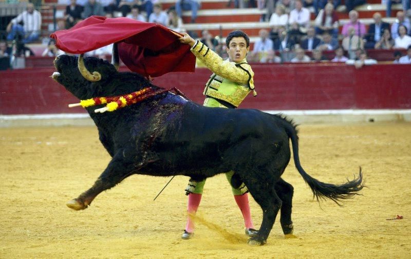 Novillada en la plaza de Toros