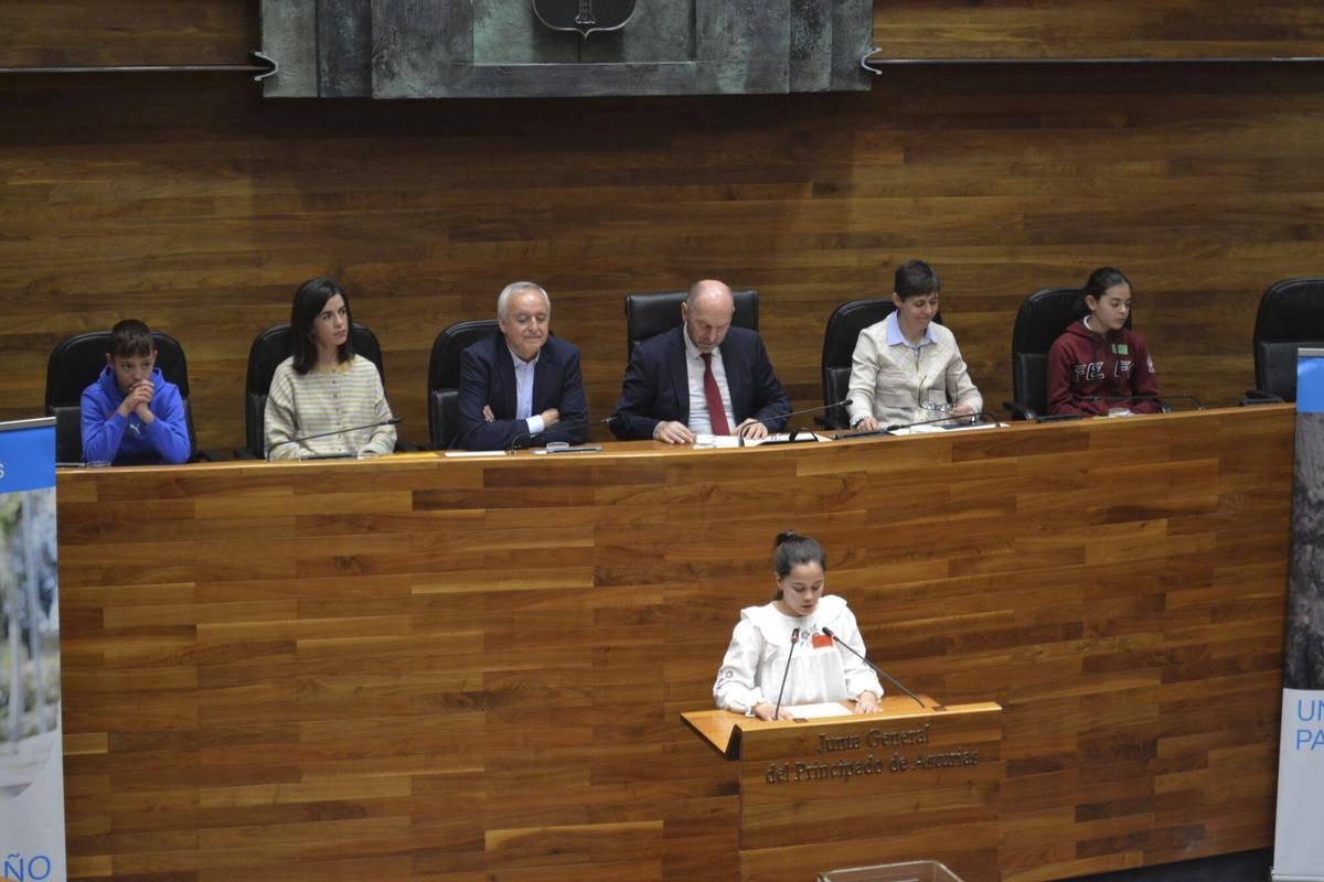 EN IMÁGENES: Sesenta alumnos asturianos se convierten en diputados por un día