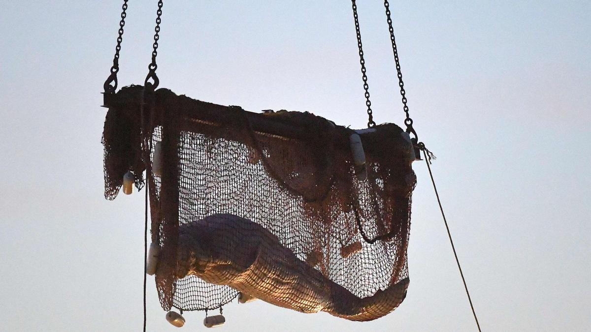 Mor la beluga rescatada del riu Sena