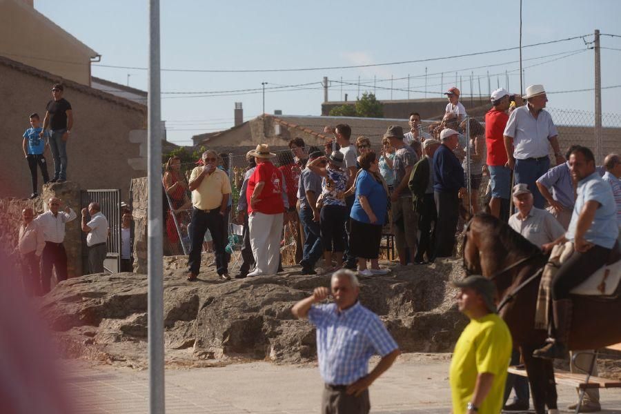 Fiestas en Zamora: Espante en Pereruela