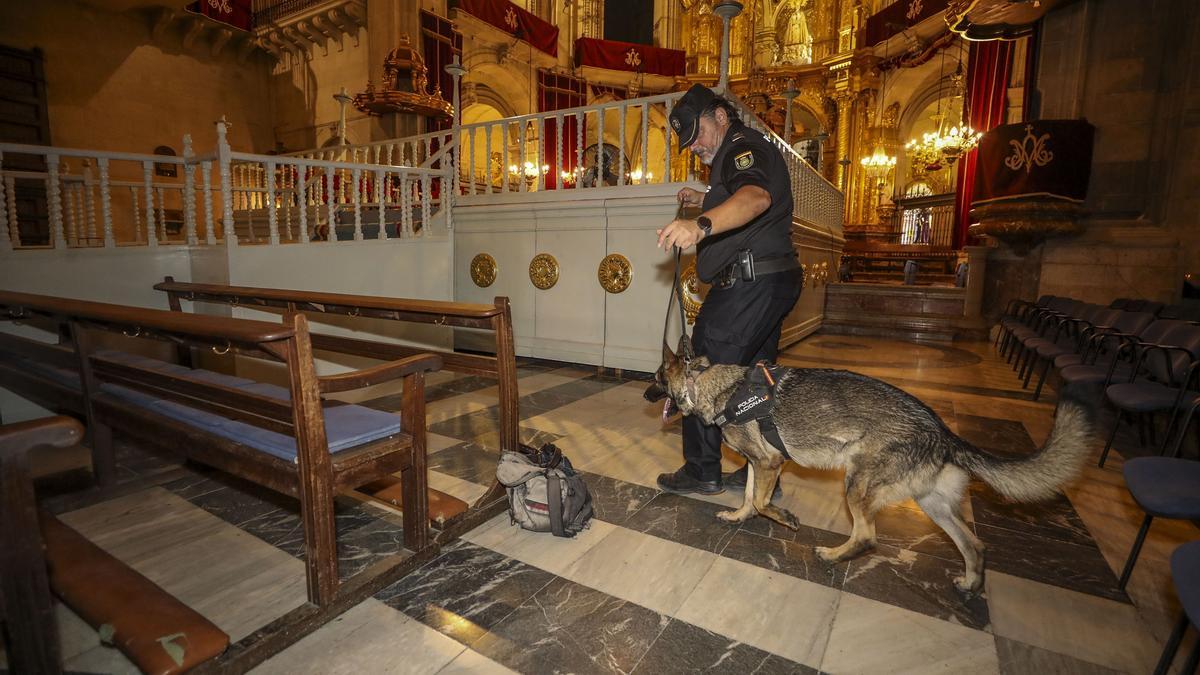 Un perro de la Policía Nacional busca explosivos en Santa María, y agentes locales con unos jóvenes. | ANTONIO AMORÓS
