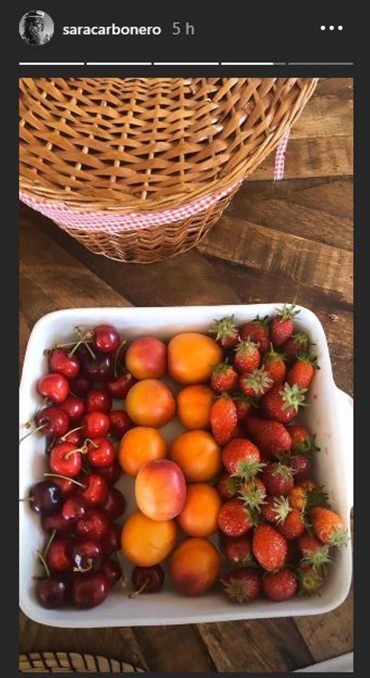 frutas Sara carbonero