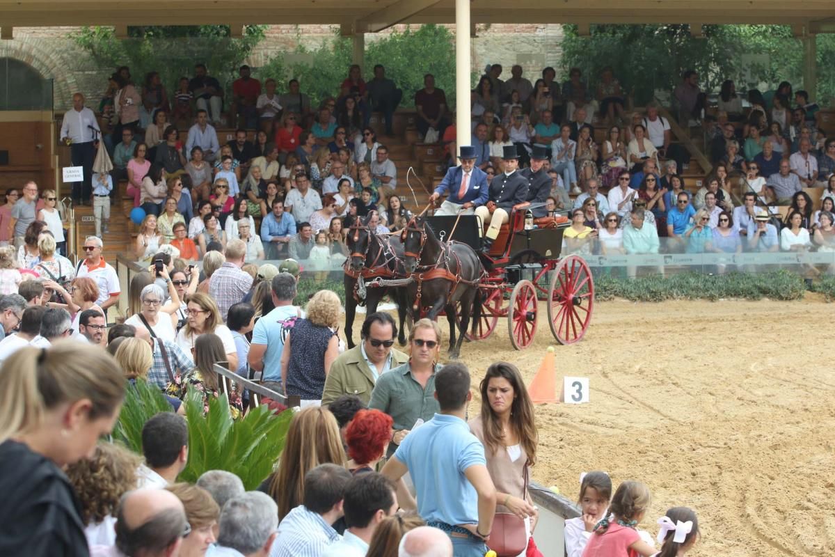 Concurso de atalaje de tradición en Cabalcor