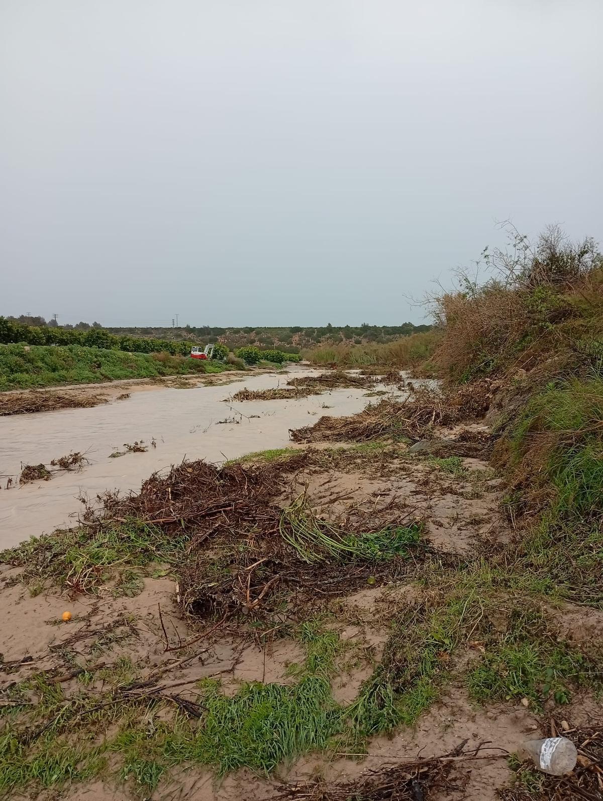 Vaersa realiza el desbroce mecánico selectivo en el cauce y sus márgenes