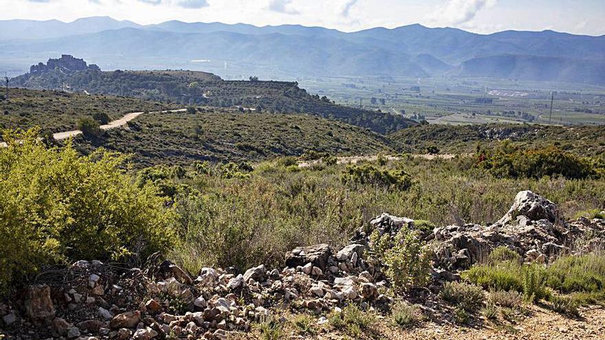 Vista de la zona afectada, amb Montesa al fons. | PERALES IBORRA