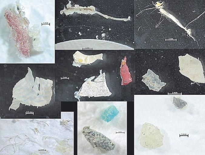 Microplásticos encontrados en aguas superficiales y sedimentos de la Ría de Vigo.