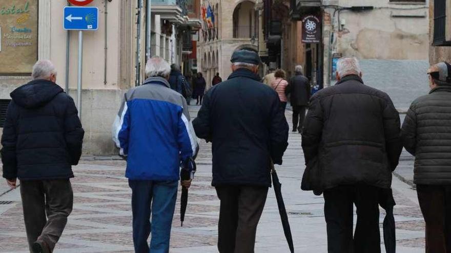 Un grupo de jubilados camina por el casco histórico de Zamora.