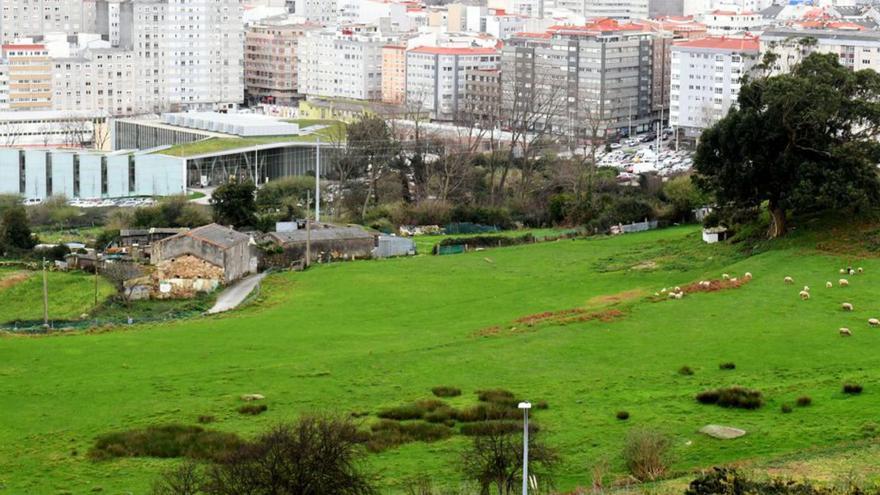 Terrenos donde se desarrollará la urbanización de Visma. |   // C.PARDELLAS