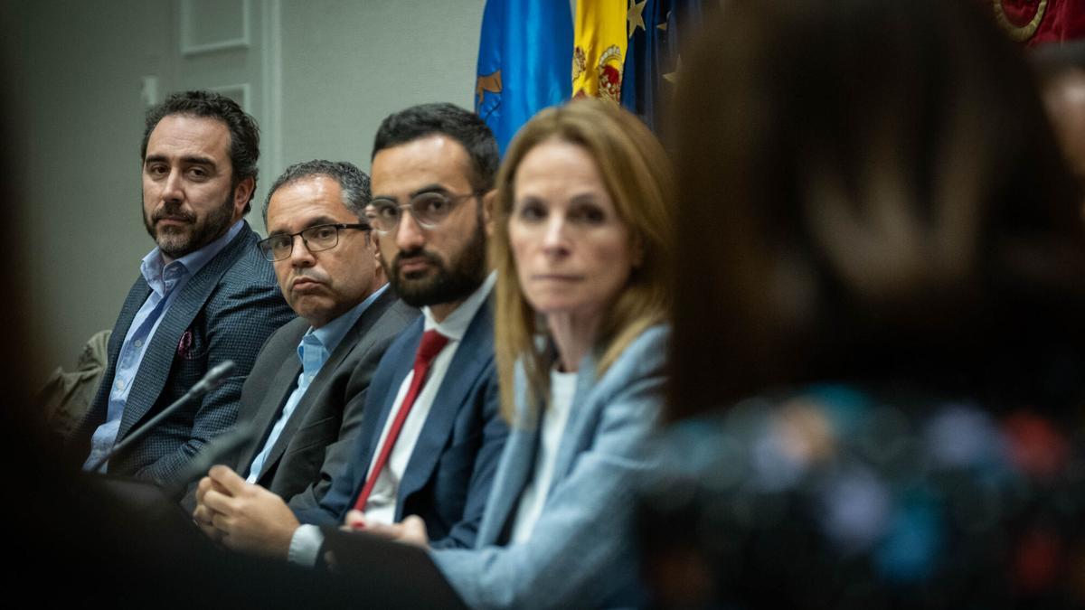 Aldama en la comisión de investigación del 'caso Mascarillas' en el Parlamento de Canarias