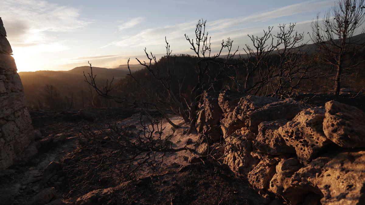 El fuerte viento y las altas temperaturas marcan hoy el incendio de Castellón