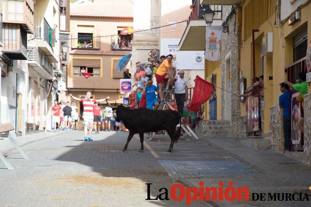 Tercer encierro en Moratalla