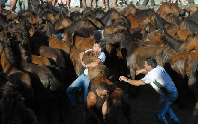 Bestas y aloitadores en plena ola de calor: así fue el primer curro en Sabucedo