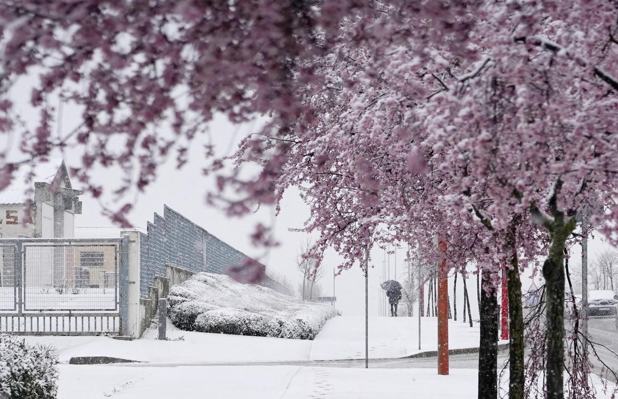 Valladolid, bajo la nieve