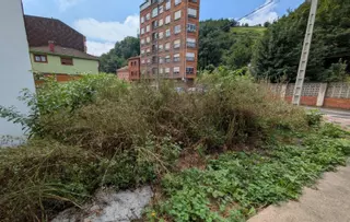 Los vecinos de La Nalona estallan contra el Ayuntamiento