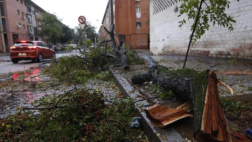 El temporal deja más de 31 litros y trae goteras en edificios públicos