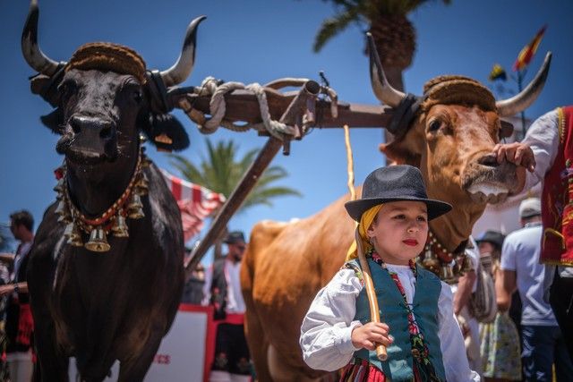 Romería de Valle de Guerra