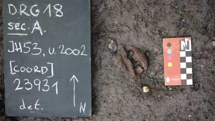 Els arqueòlegs documenten al jaciment neolític de la Draga paviment de travertí